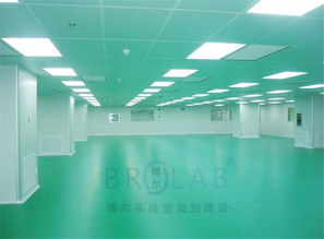 醫(yī)院潔凈實(shí)驗(yàn)室設(shè)計(jì)規(guī)劃凈化工程怎么做 brolab